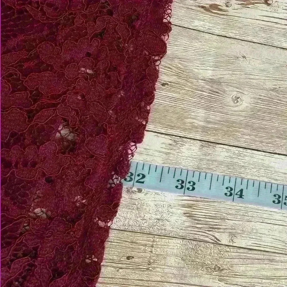 Francesca's Lace Fit & Flare Short Sleeve Back Zip Dress Cranberry/Pink Size XS - Picture 4 of 5